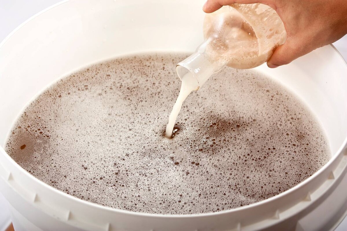 Яндекс картинки