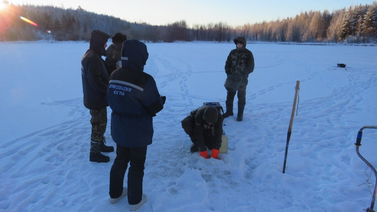    Югорчанам напомнили о запрете на вылов муксуна и стерляди