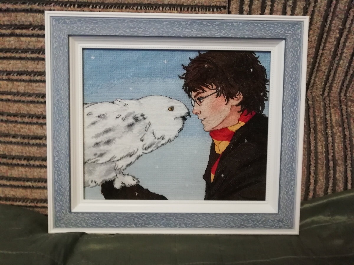 Гарри Поттер с совой