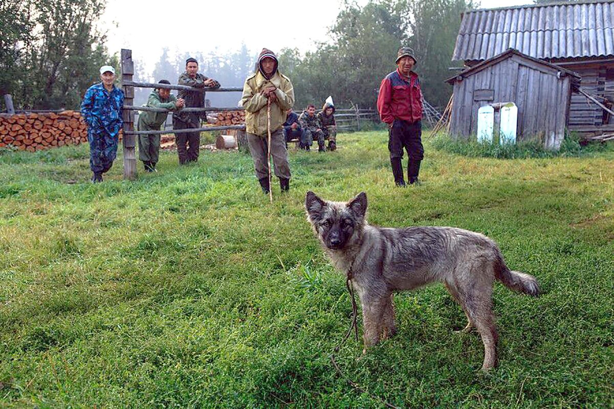    Поисковая команда