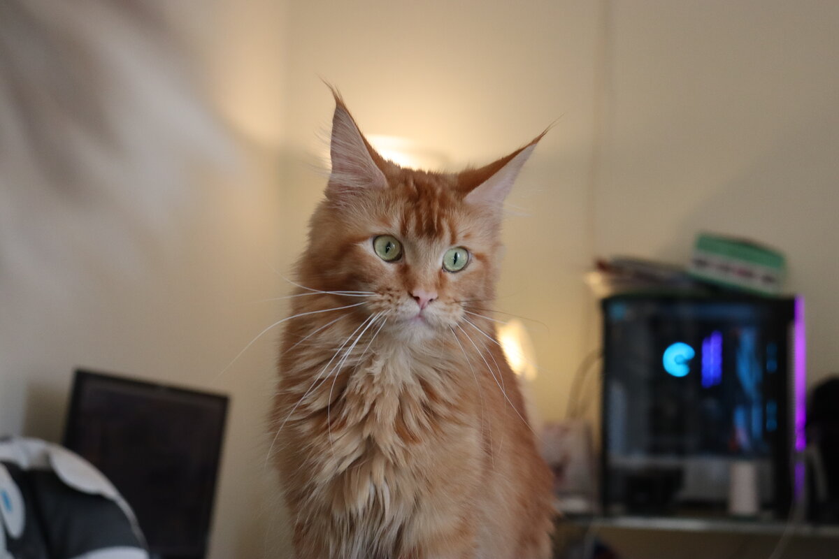 Фото из личного архива.