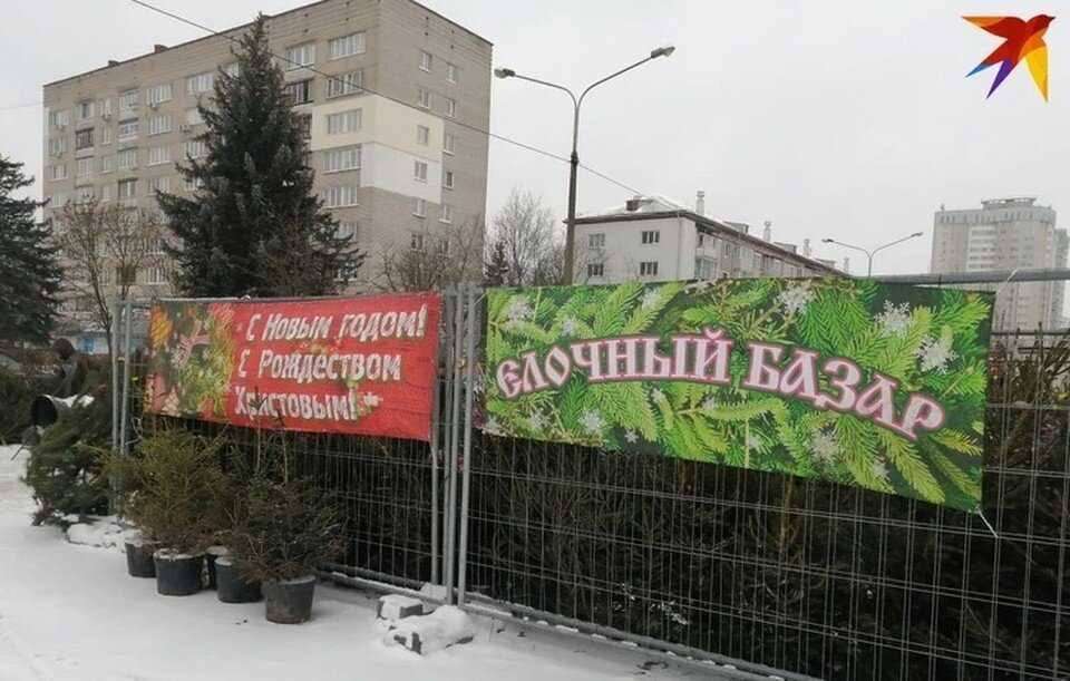     Елочные базары - неизменный атрибут новогодних праздников. Фото: архив "КП".