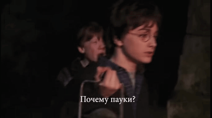 Отрывок из Гарри Поттера. Взято из открытого источника