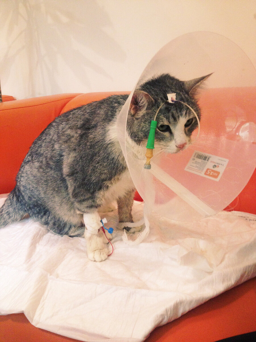 Фотография из интернета для наглядности