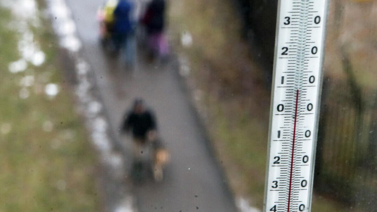    Термометр на окне одной из квартир в Москве© РИА Новости / Виталий Белоусов