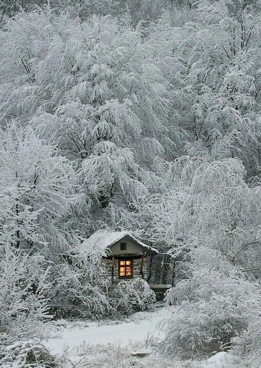 Яндекс.Картинки