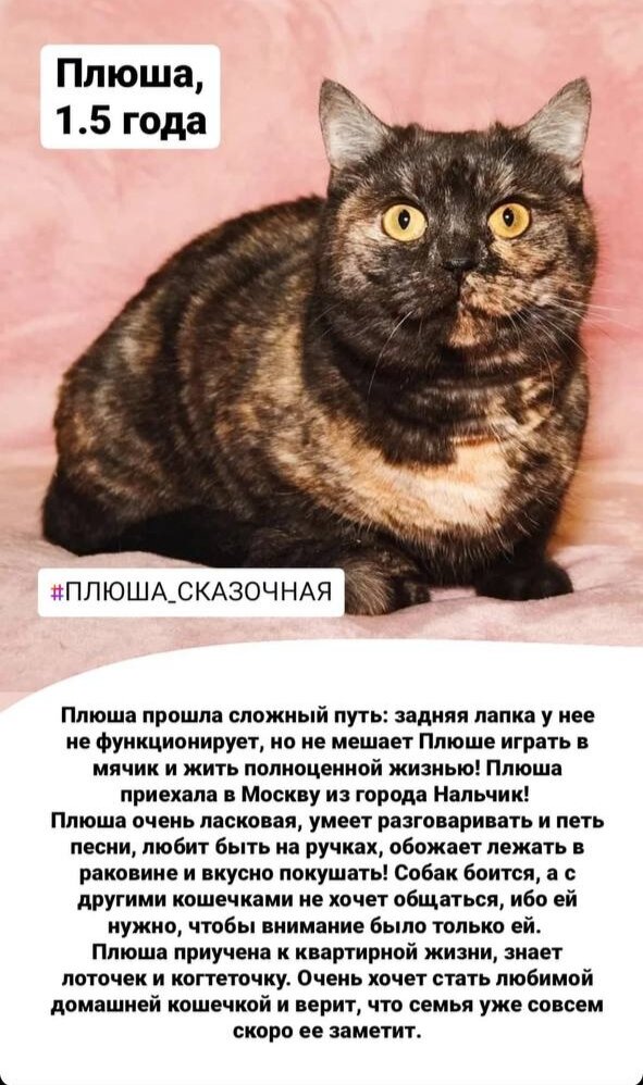 Фото- собственность канала