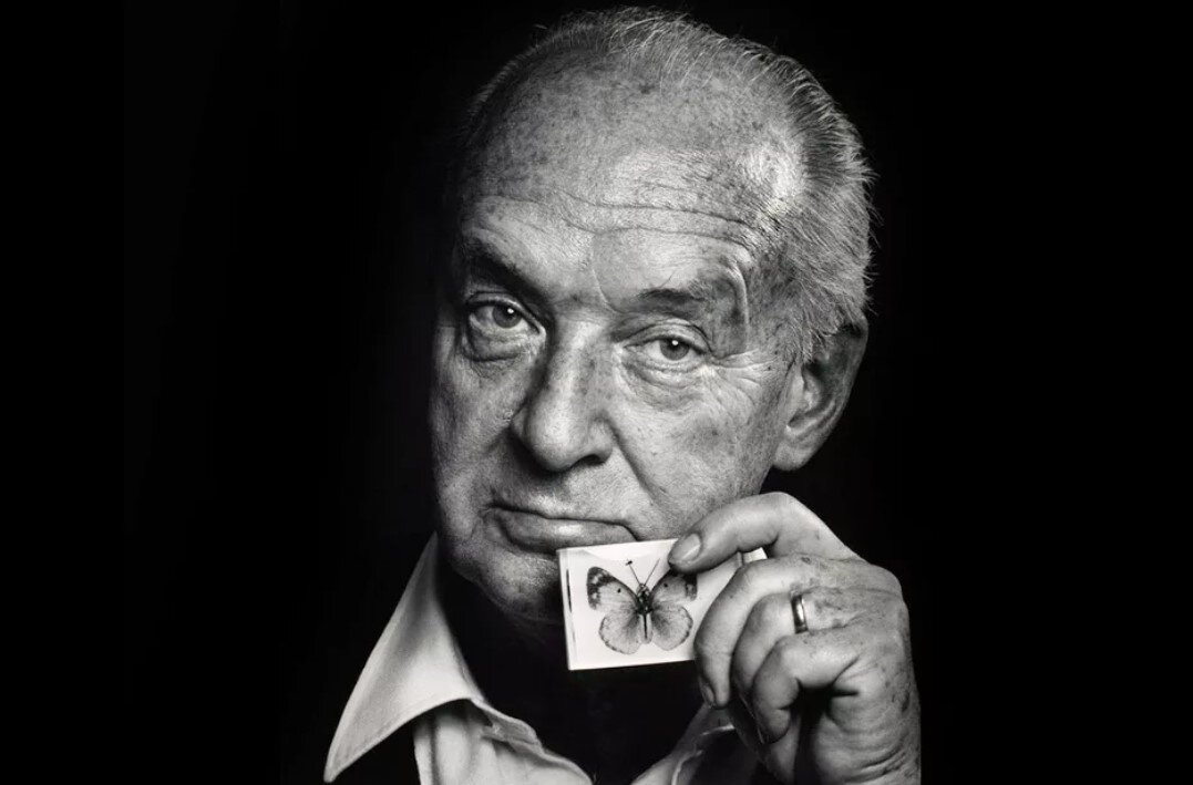 Владимир Набоков увлекался изучением бабочек и собрал внушительную коллекцию.