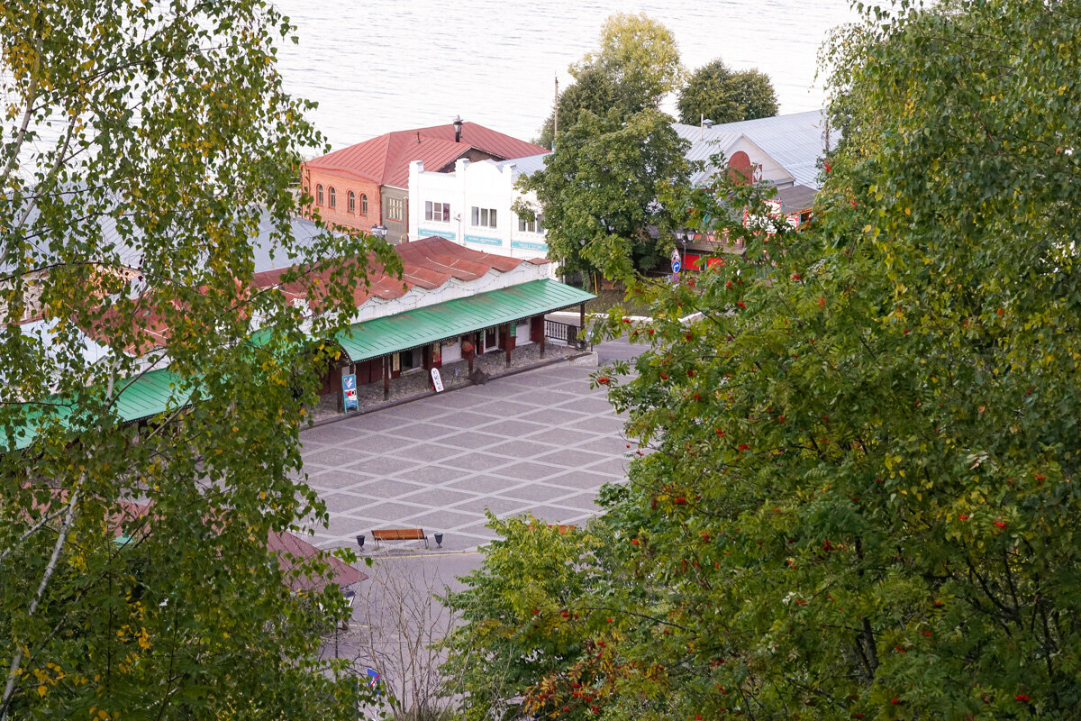 Фото автора статьи