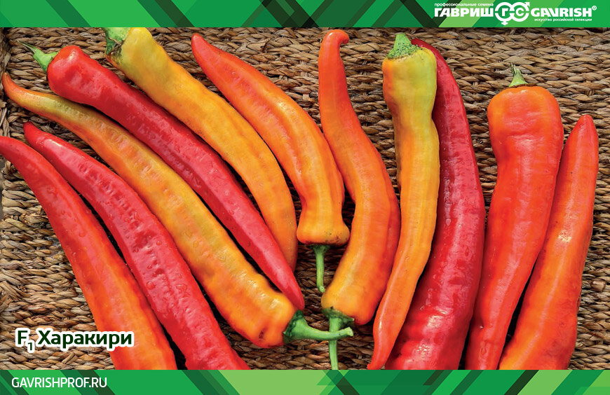 Чили виды. Географическое положение аргентины кратко. Чили презентация. Чили карта географическая. Чили страна географическое положение.