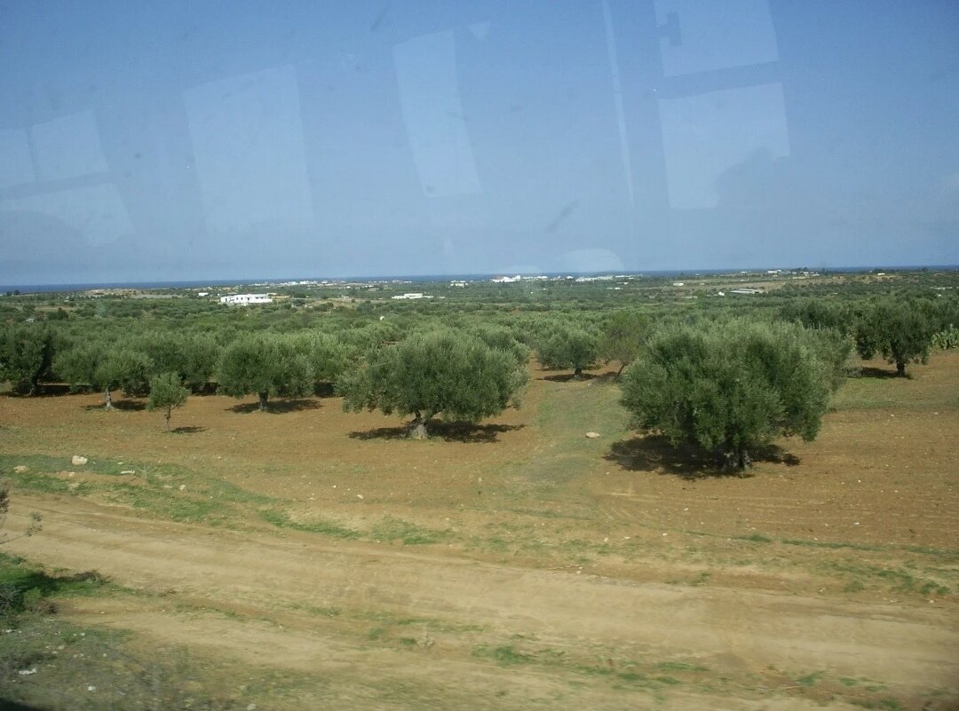 Мы тогда не догадались сфотографировать на ходу. Это изображение позаимствовано у канала https://dzen.ru/id/5e9b565791221741687d6f09
