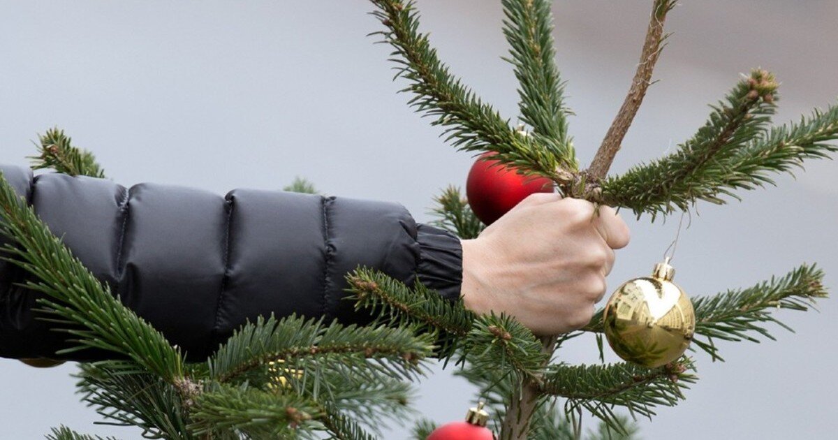 Уборка елки, общедоступные источники