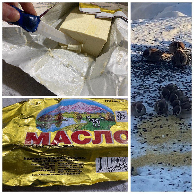 Масло сливочное из Светофора на угощение подопечных