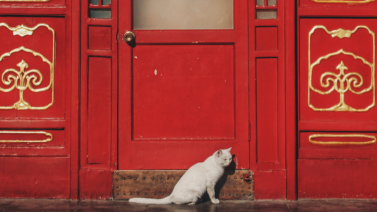 Photo by Tzepang Ngaa on Unsplash