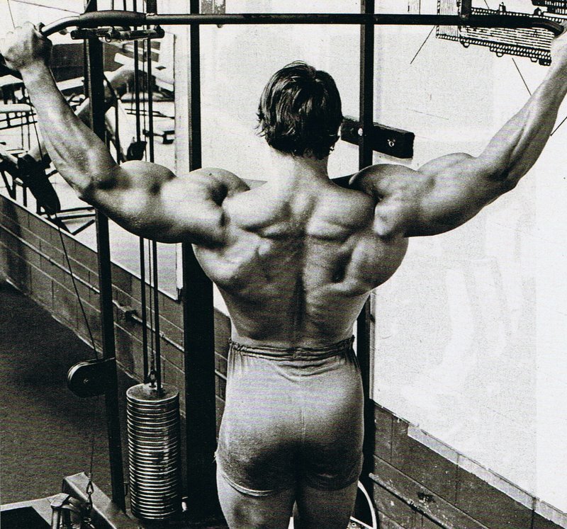 Тренировки арнольда. Франко Коломбо подтягивания. Arnold Schwarzenegger подтягивания.