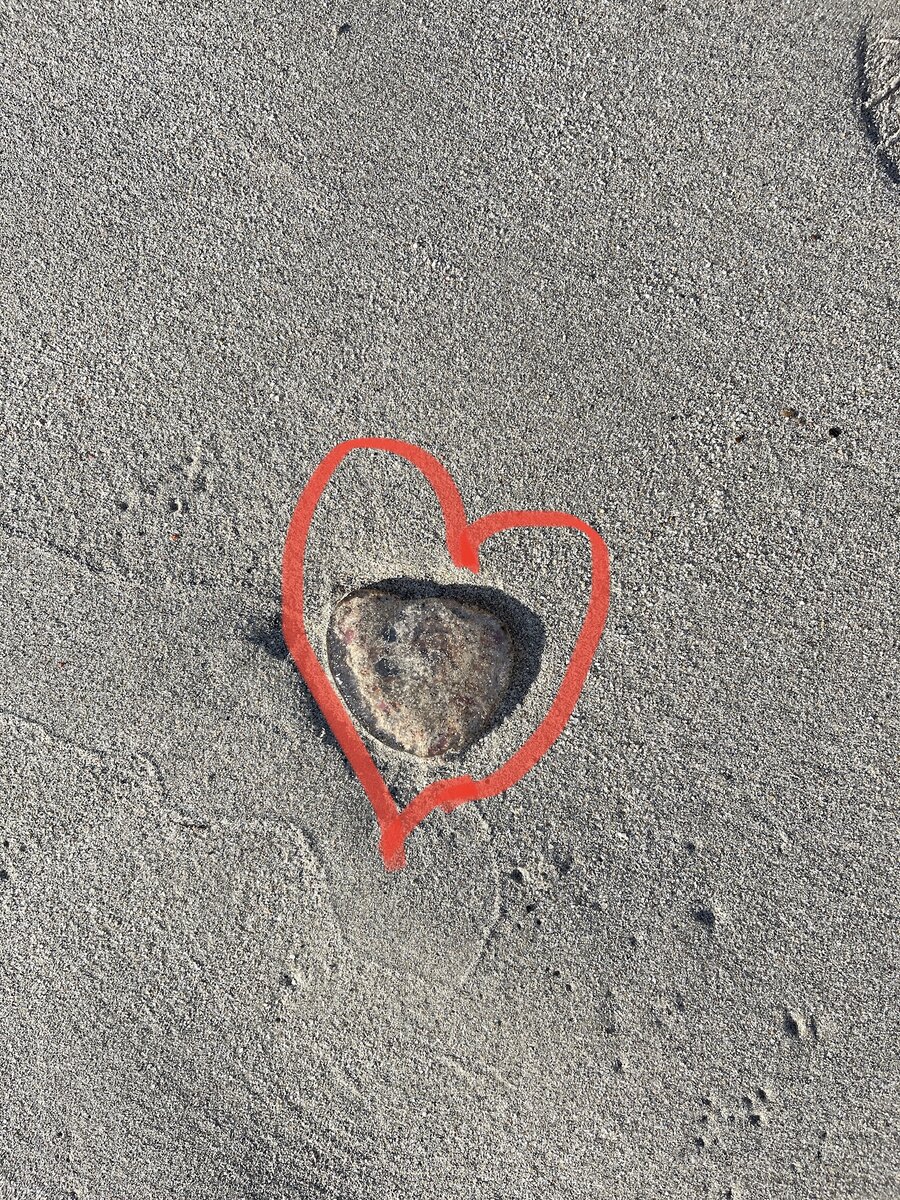 домашнее насилие, торговля людьми, защита, виза, Франция, французы