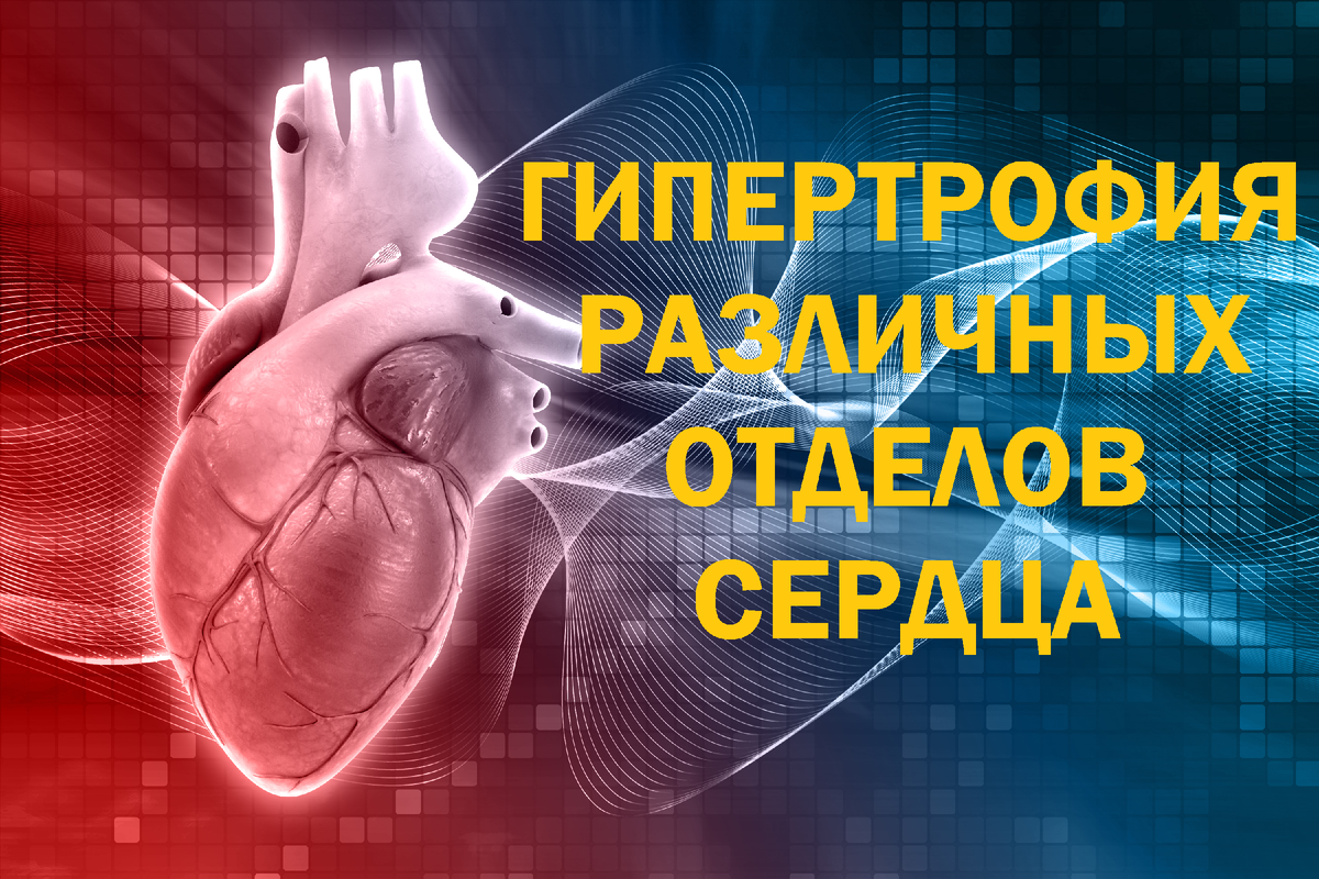 Фото любезно предоставлено: https://ru.freepik.com