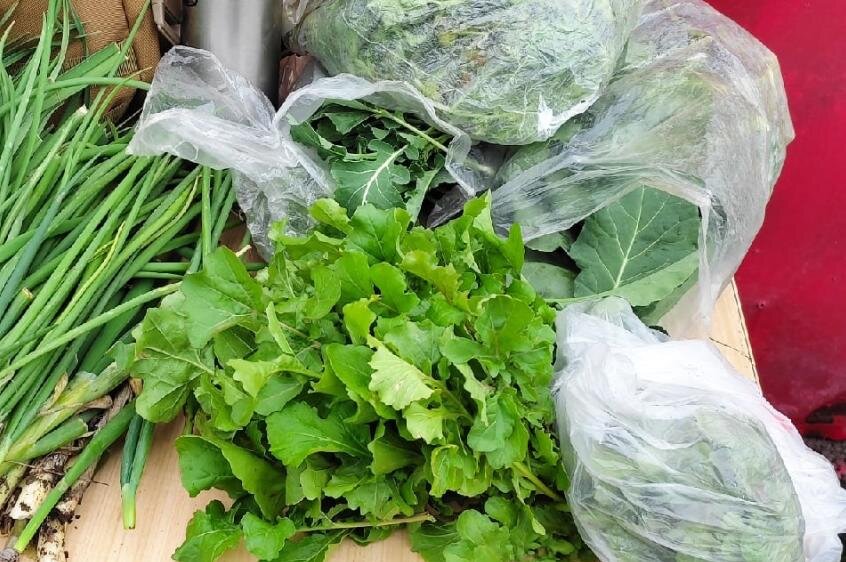 наша руколла