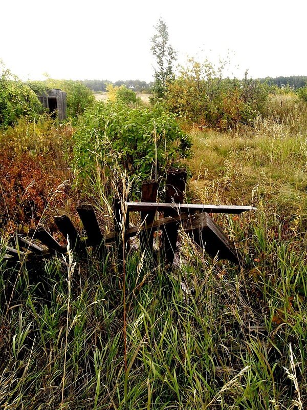Наш участок сейчас наверное выглядит ещё хуже...