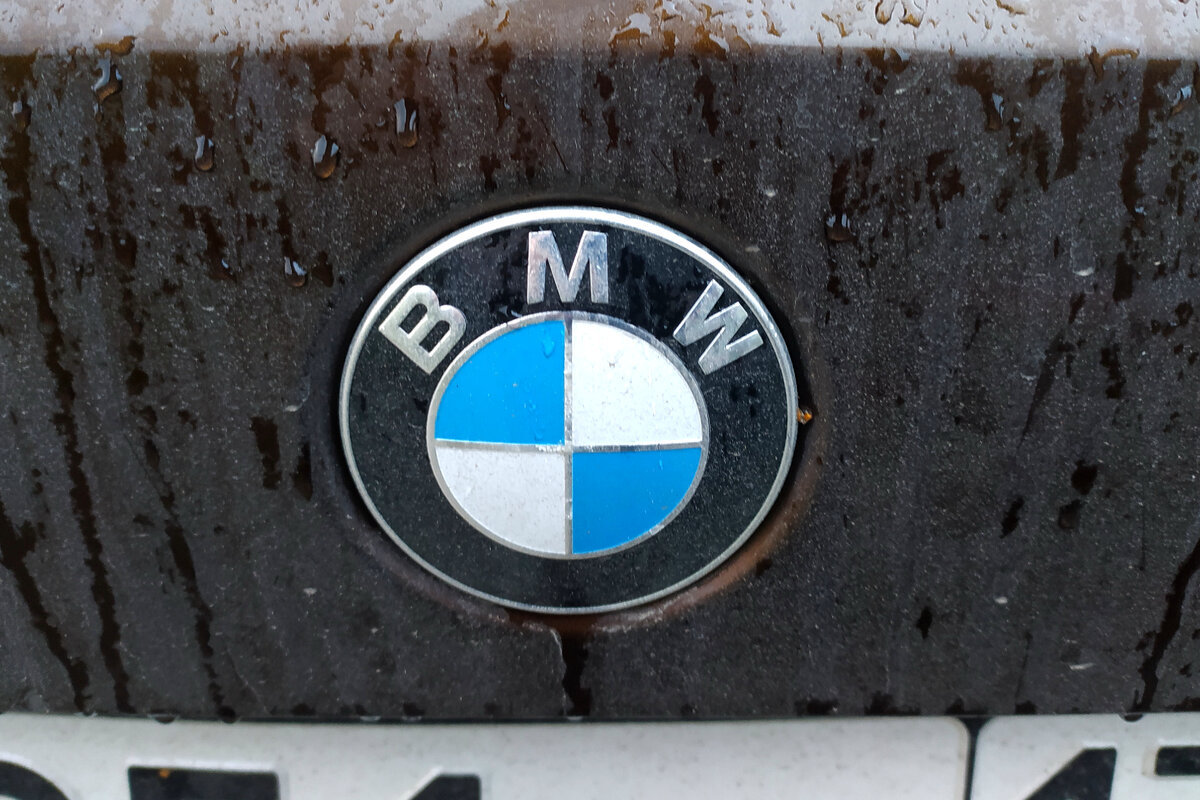 Фото: © Maksim Konstantinov/Globallookpress