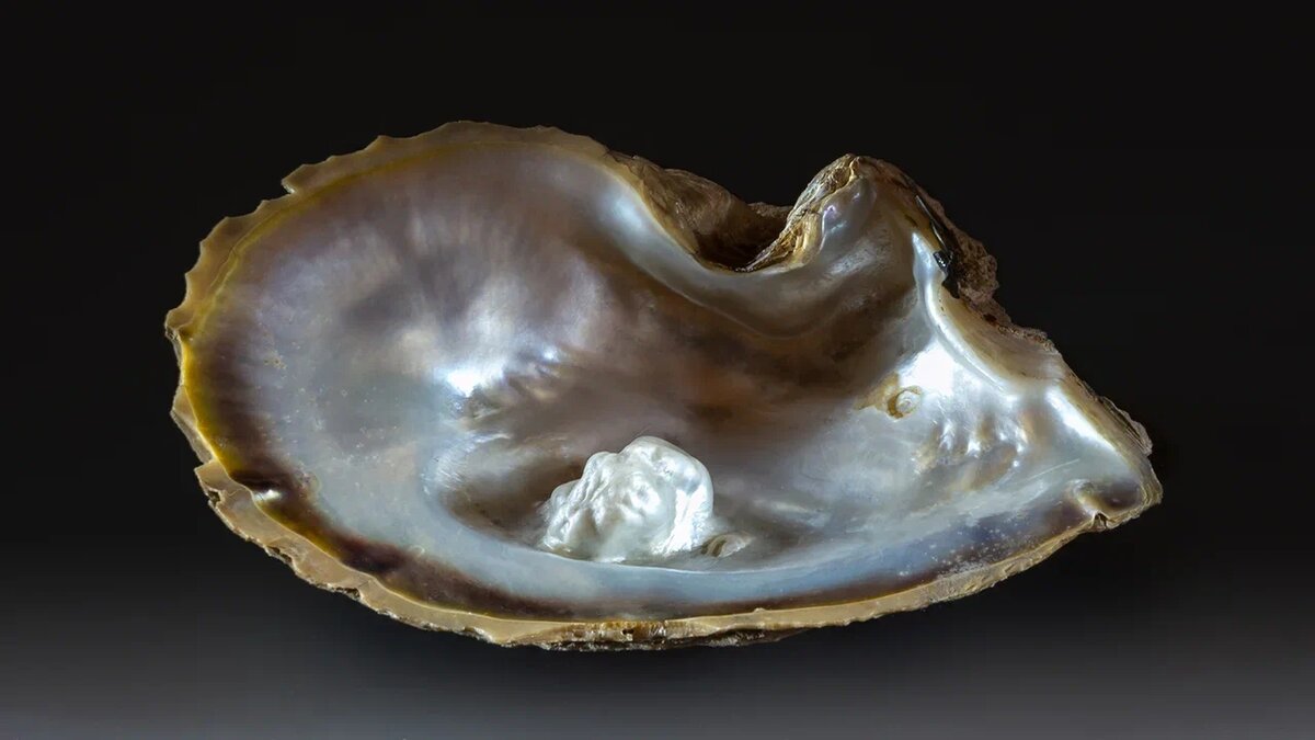 Форпост Северо-Запад/ Горный музей