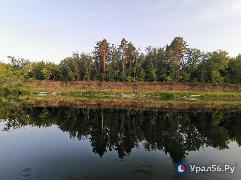    Новые леса на 75 га должны появиться на востоке Оренбургской области — территории, равной десяти паркам Строителей Орска. Где именно?