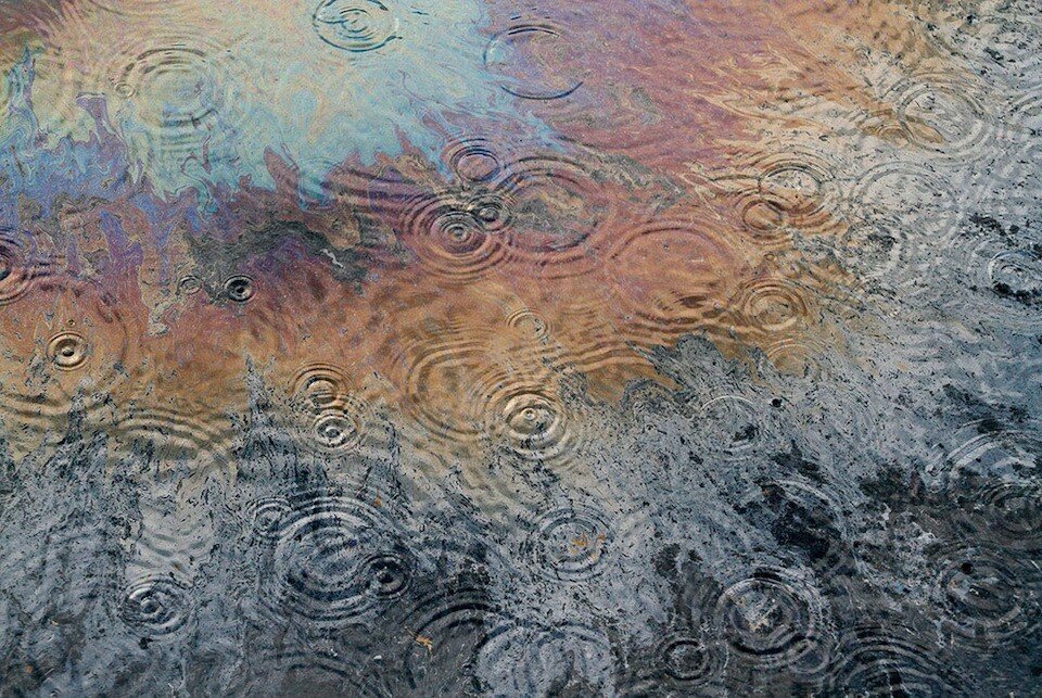 опасность для собак