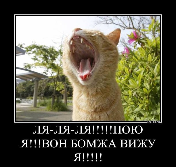 Ля-ля-ля!!!!!пою я!!! вон бомжа вижу я!!!!!