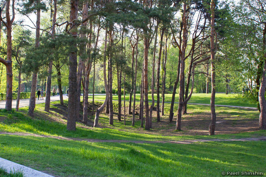 Парк алые паруса воронеж фото Парк "Алые паруса" Ландшафтная архитектура и дизайн Дзен