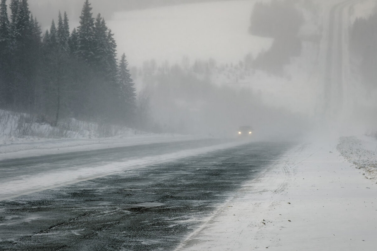 Фото из открытых источников интернета 