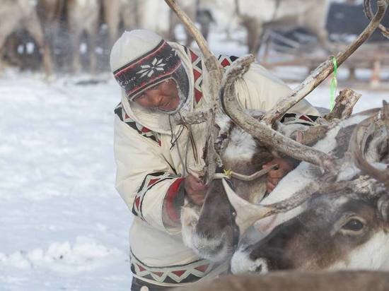     Фото пресс-службы Законодательного Собрания Красноярского края