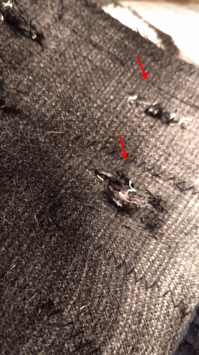 Личное  фото. 