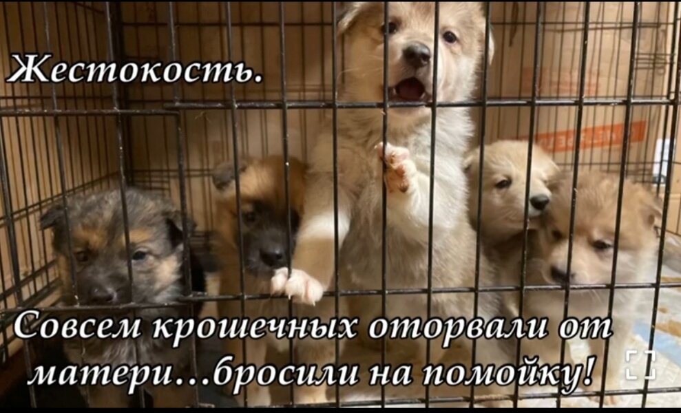 Посмотрите на наших лампочек! Ручные, будут верными друзьями и компаньонами! Приезжайте знакомиться)