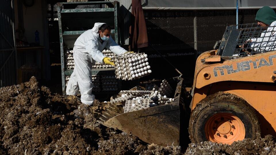 Фото: © Global Look Press/Ayal Margolin/XinHua