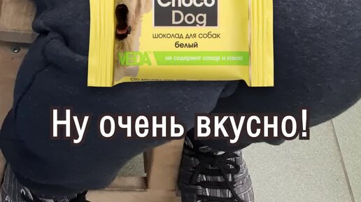 Компания «ВЕДА» | Щенок ест белый шоколад «CHOCO DOG». «CHOCO DOG ...
