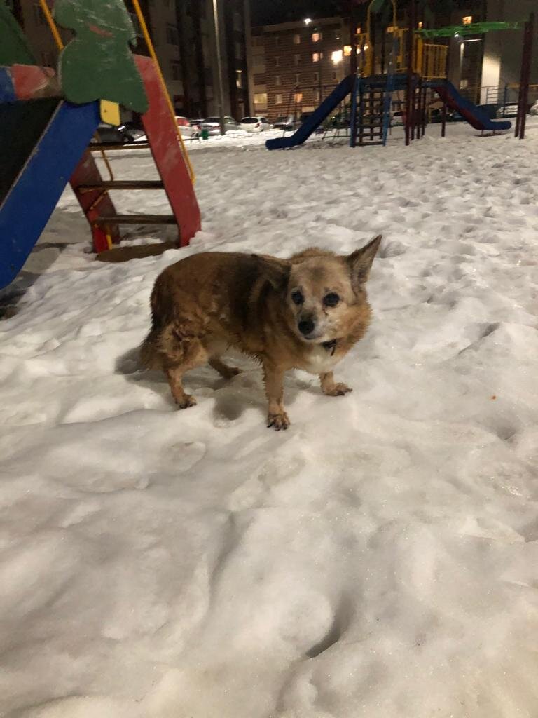 Тот ночной февраль когда её нашла