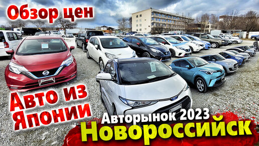 Новороссийск авторынок японских автомобилей