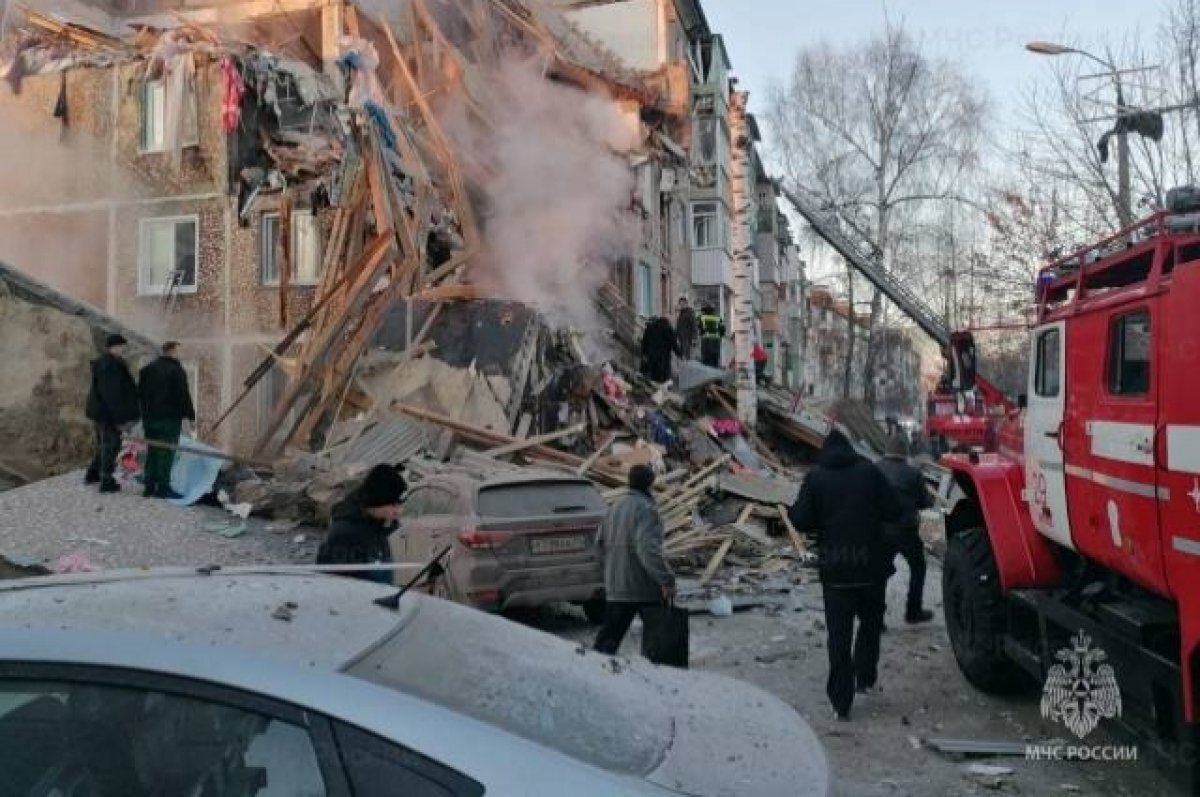    Жители взорвавшегося дома в Ефремове ищут своих питомцев