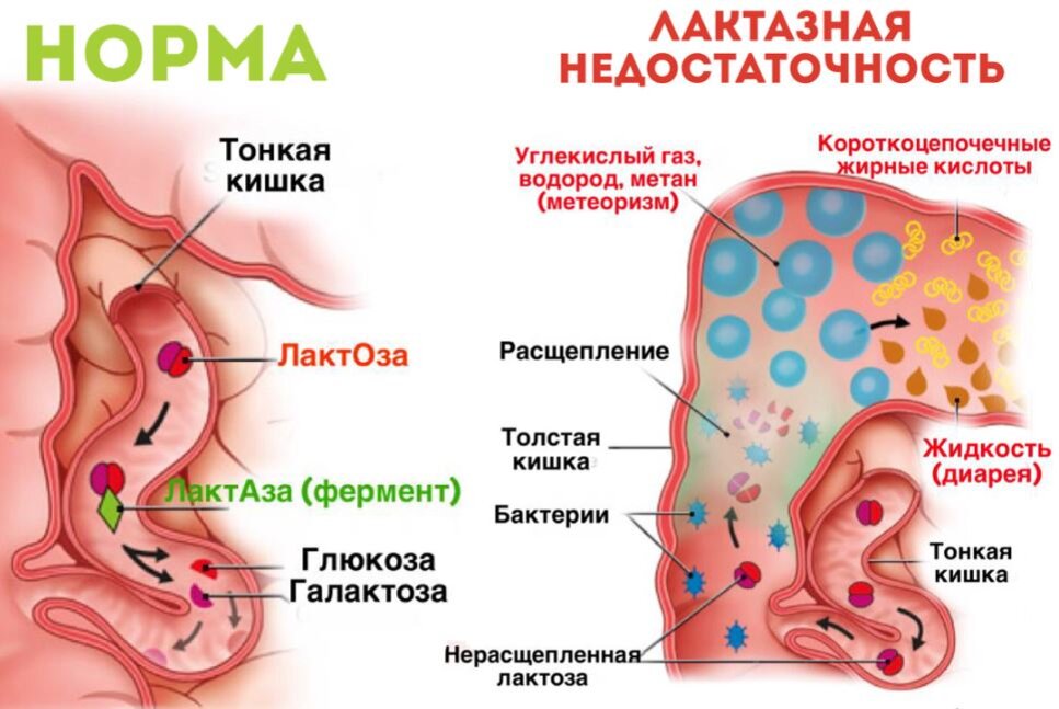 с сайта: annamama.ru