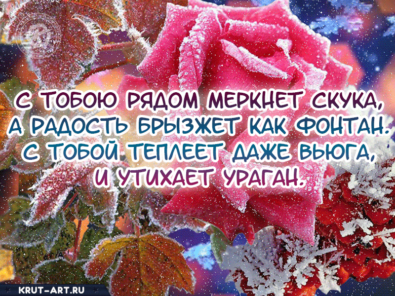 С тобою рядом меркнет скука, А радость брызжет как фонтан. С тобой теплеет даже вьюга, И утихает ураган.