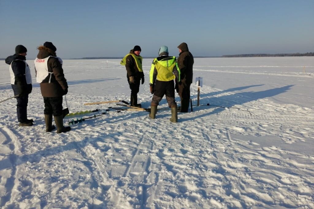 Гритинская горка Череповец