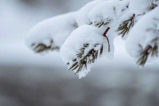    Фото: ru.freepik.com