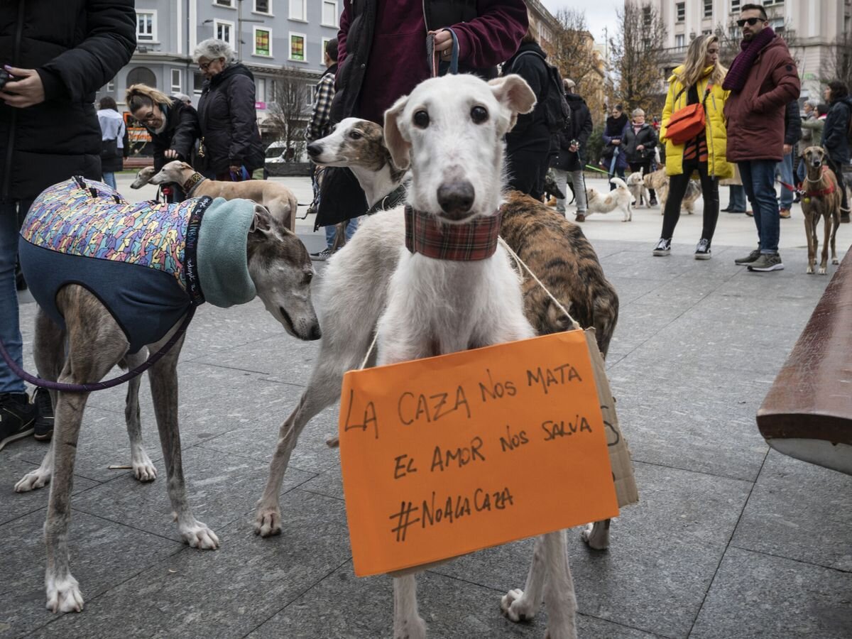 Registro criadores de perros españa