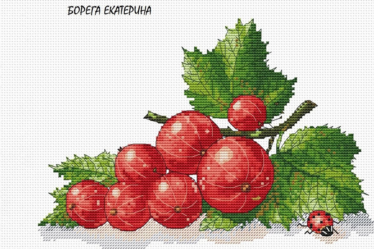 Красная смородина, превью из группы дизайнера 