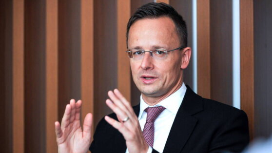    Сийярто договорился с Новаком о бесперебойных поставках нефти и газа из России в Венгрию Дарья Смирнова