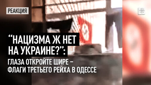 Нацизма ж нет на Украине?”: Глаза откройте шире – флаги Третьего рейха в  Одессе | ЦарьХит. Никакой политики – только жизнь | Дзен