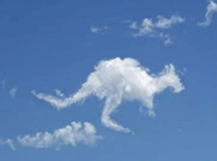 Обитатель облаков. Облака в виде животных. Облака похожие на животных. На что похожи облака. На что похоже облако.