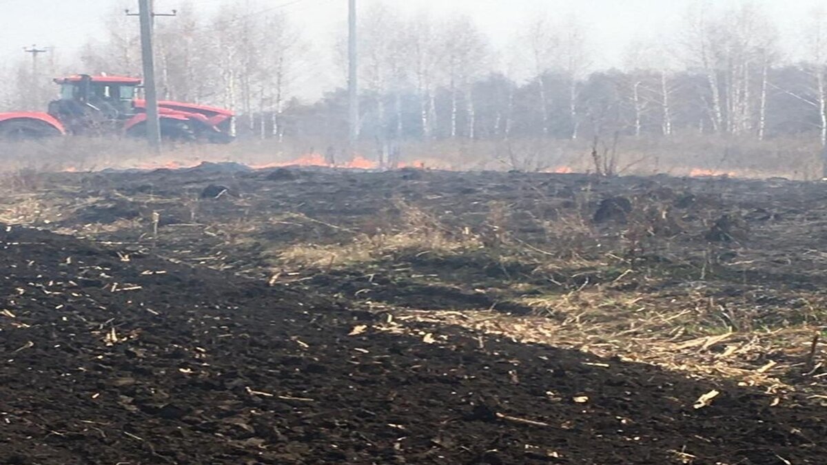 Воловские пожарные-добровольцы потушили 2 возгорания в один день | Вести  Тула | Дзен