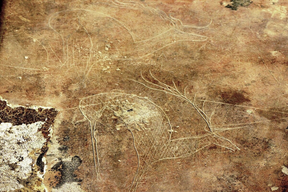 Урочище Калбак-Таш — самый большой на Алтае комплекс петроглифов, древнейшим изображениям около восьми тысяч лет. Фото: Rost.galis (CC BY-SA 4.0)