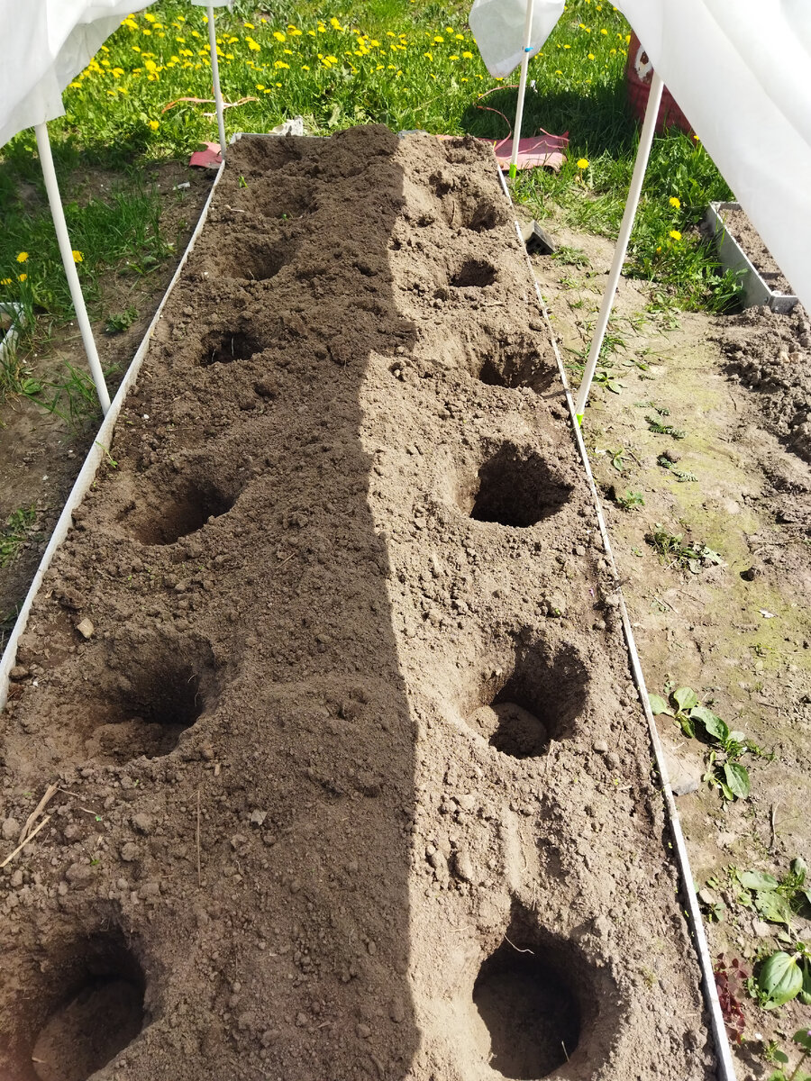 Можно было и совком, но мне так больше понравилось 😁